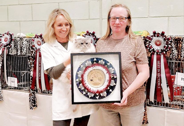 Ms A Slevin receiving her Overall Best in Show 2023 magnificent rosette award for IGr Ch Ashannas Celtic Tiger